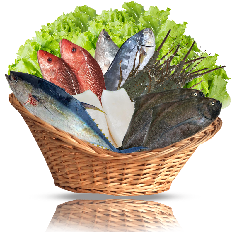 SEA FISH