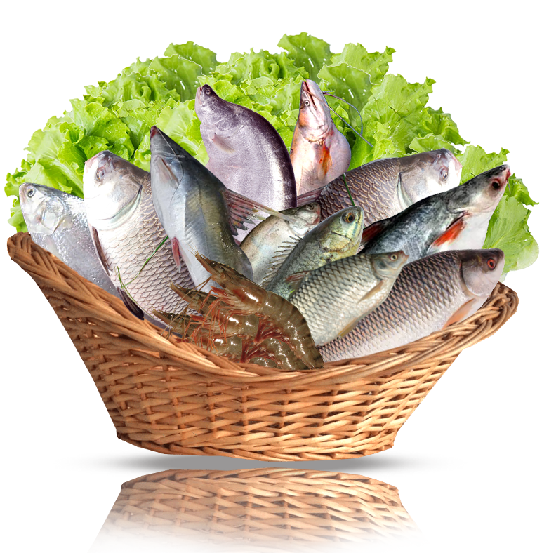 SWEET WATER FISH