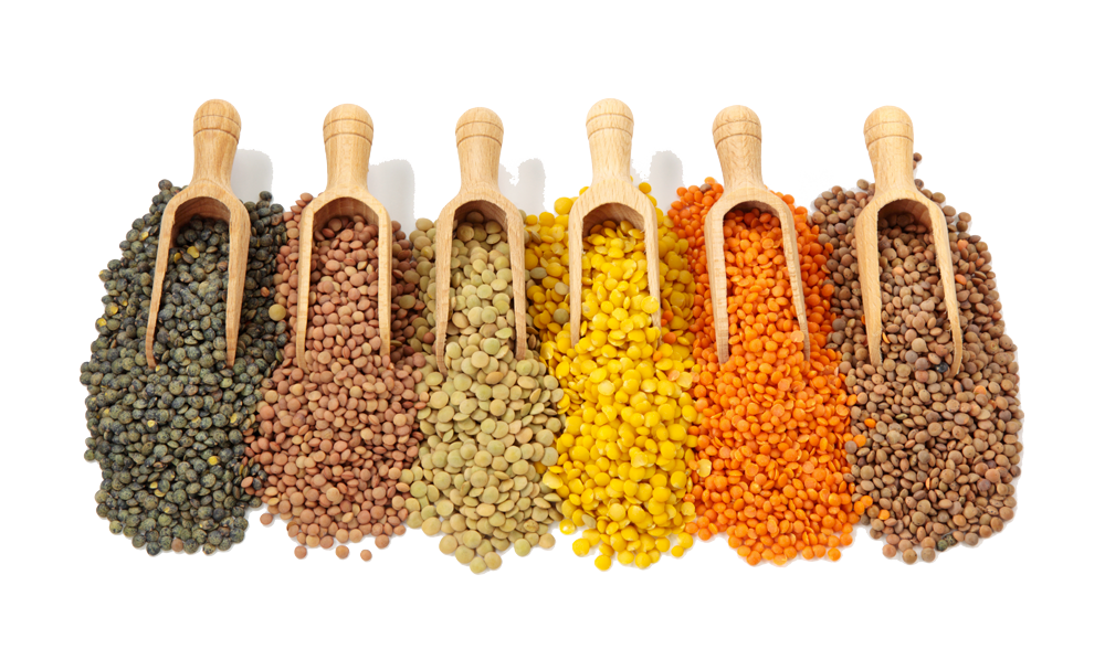 LENTILS & PULSES 